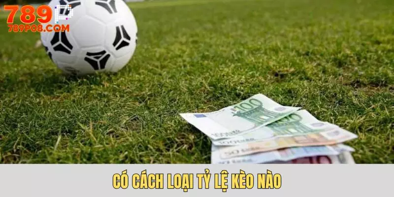 Các loại trong tỷ lệ kèo là gì?