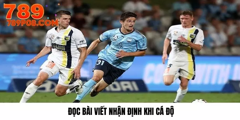 Đọc bài viết từ chuyên gia cho nhận định đúng